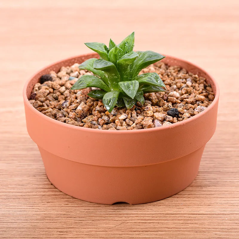 Dia.18cm Round Plastic Imitated Clay Flower Pots Succulent Plant Pot Plastic Bonsai Pot