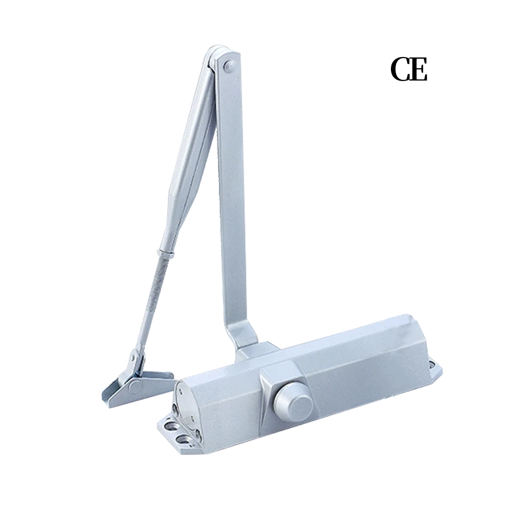 China Wholesale Hydraulic Door Opener and Closer Automatic Hidden Spring Hinge Door Closer Fire Rated Heavy Duty 200kg Door MegaBDM