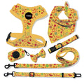 Custom Logo Dog Leash and Harness Set Personalized Adjustable Nylon Pet Vest Harnesses for Dogs Cats