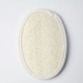 New Product Golden Supplier Loofah Scrubber Sponge Good Price Loofah Dish Sponge Home Biodegradable