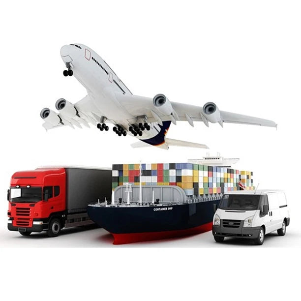 Sea Shipping From Shenzhen to UAE Saudi Arabia Sea Freight Door to Door