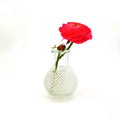 Modern Eco-friendly Europe Clear Cylinder Glass Tabletop Vases Basso Relievo Hydroponics Flower Home Decor Wedding Party Living