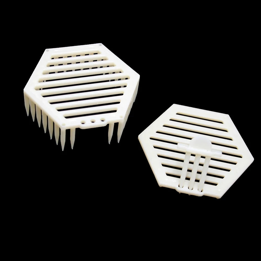Chinabees Queen Cage Rearing System Plastic Bee Cages and Tools Apicultura Equipment Beekeeping Set for Livestock