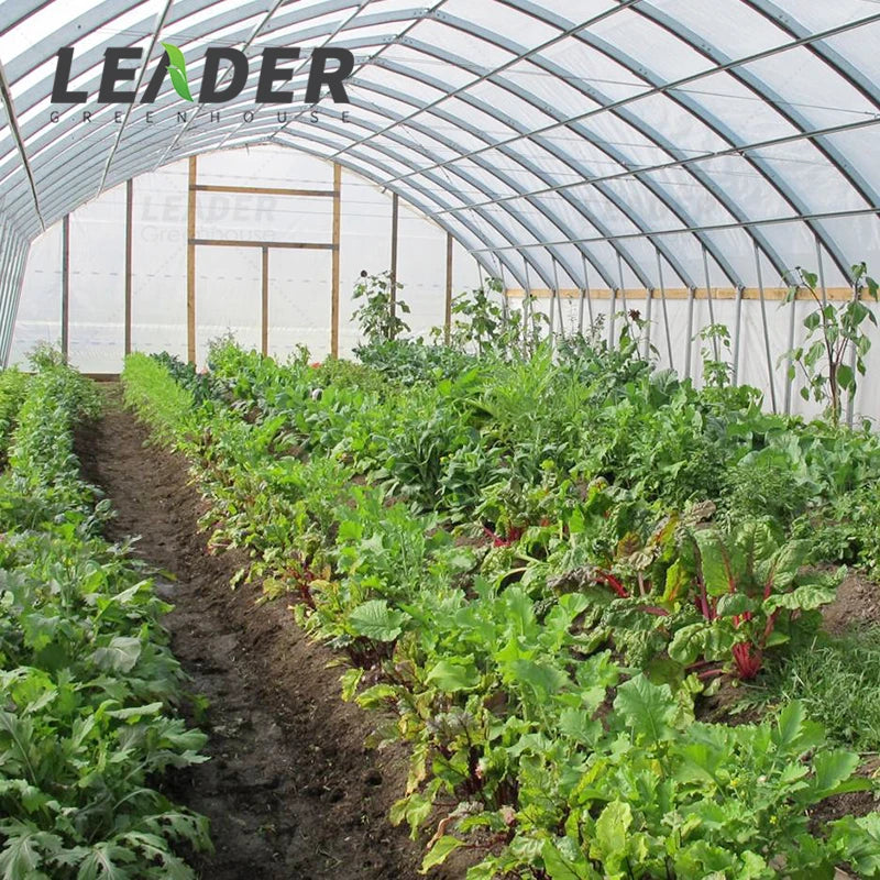 Cucumber Farming Agricultural HDPE Fruit Fly Insect Proof Net Cover in Greenhouse