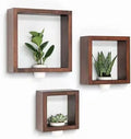 3pcs Wall Shelf Set Solid Pine Wood Including White Ceramic Planters | Handmade Exquisite Decoration for Home Office