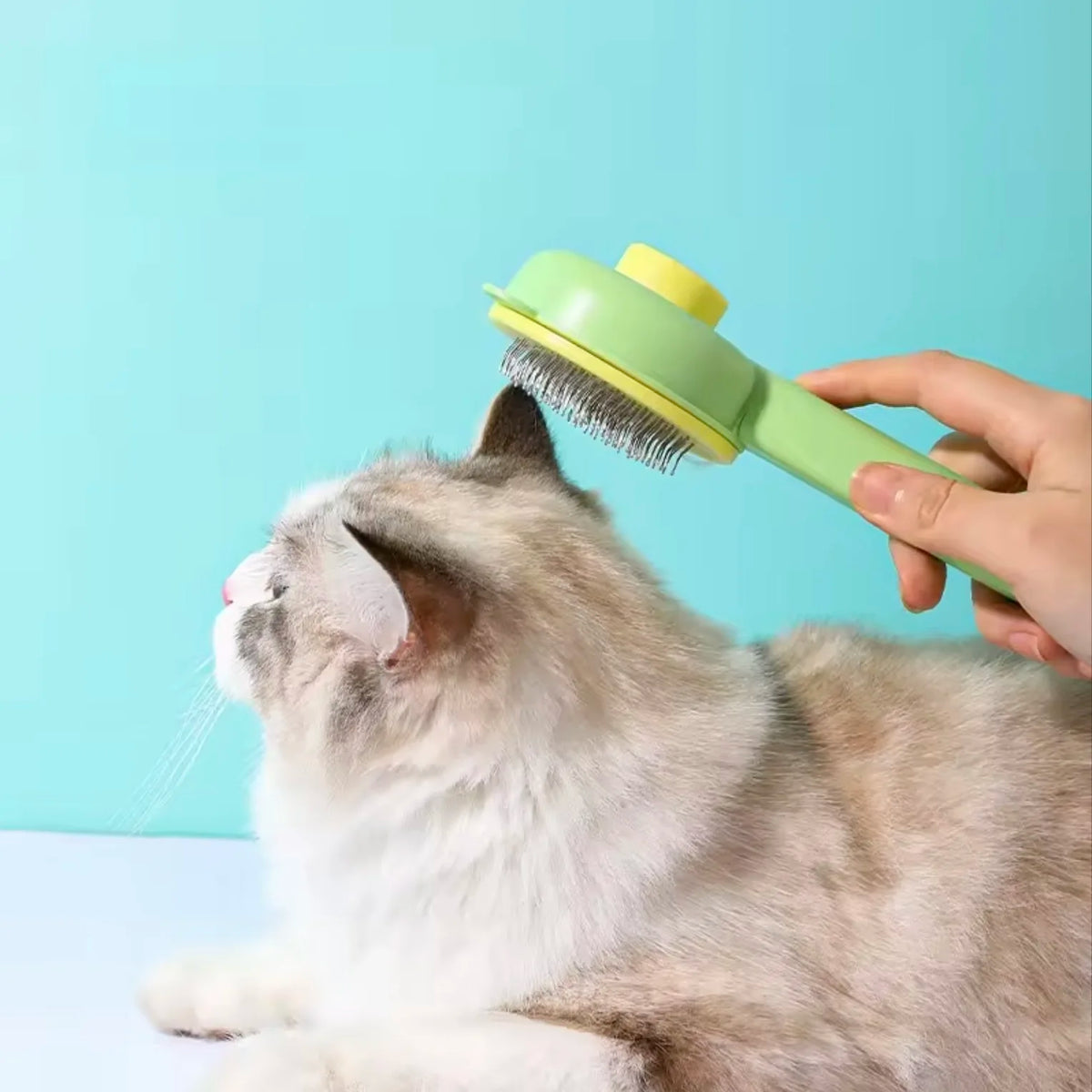 Hot Selling Pet Grooming Comb One-click Self-cleaning Cat Massage Comb Brush Cleaning Comb Pet Hair Removal