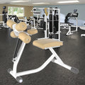Indoor Hydraulic Biceps Triceps Cylinder Pneumatic Gym Equipment Camber Curl for the Elder JLC-NS06