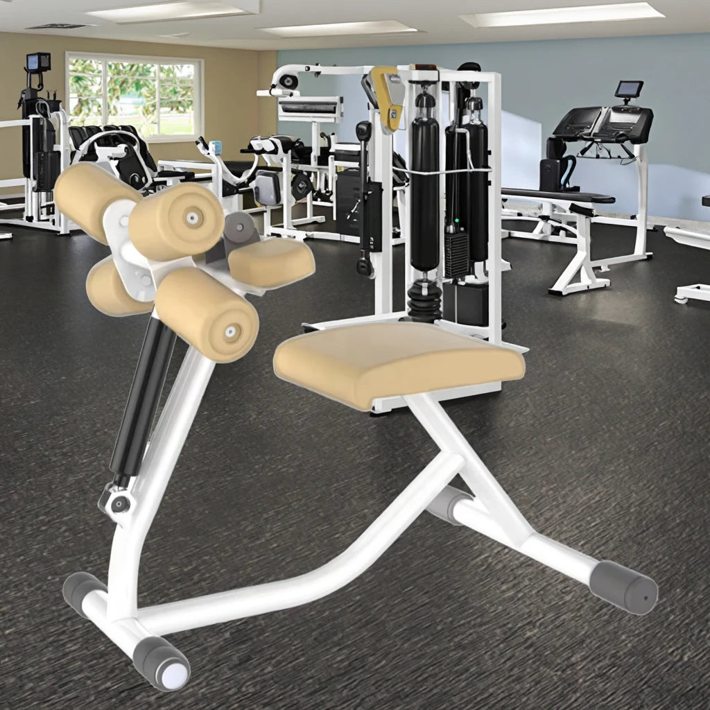 Indoor Hydraulic Biceps Triceps Cylinder Pneumatic Gym Equipment Camber Curl for the Elder JLC-NS06