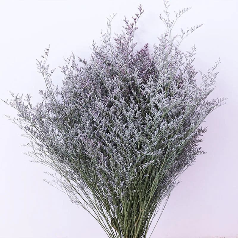 Manufacturers Wholesale Home Decoration Limonium Lemon Grass Dried Flower Bouquet Photography Props Christmas Valentine's Day