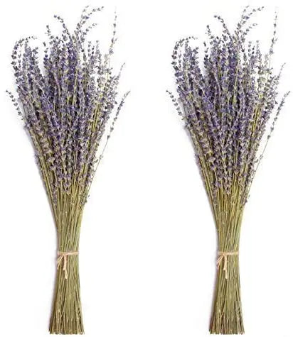 Hfloral Natural Dried Lavender Bundles dried Flowers Stems for Home Wedding Decoration for Christmas Graduation Flower