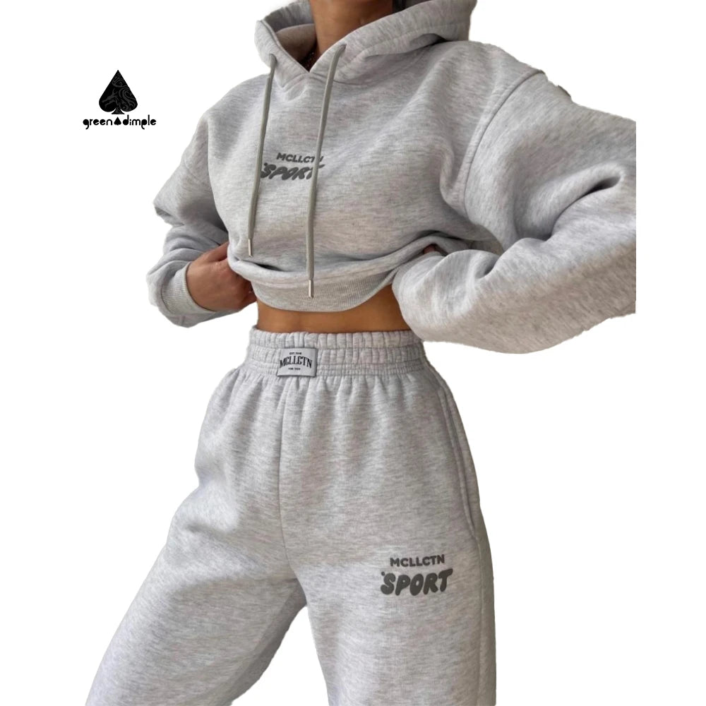 Custom Puff Printing 300GSM 400GSM 500GSM Pullover Hoodie Set Women High Quality Blank Two Piece Hoodie and Sweatpants Set