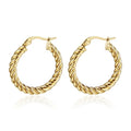 European Minimalist Fashion Jewelry Gold Plated Wave Curve Twisted Hoop Earrings for Women