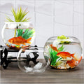 Transparent Large Round Glass Fish Tank Fish Bowl