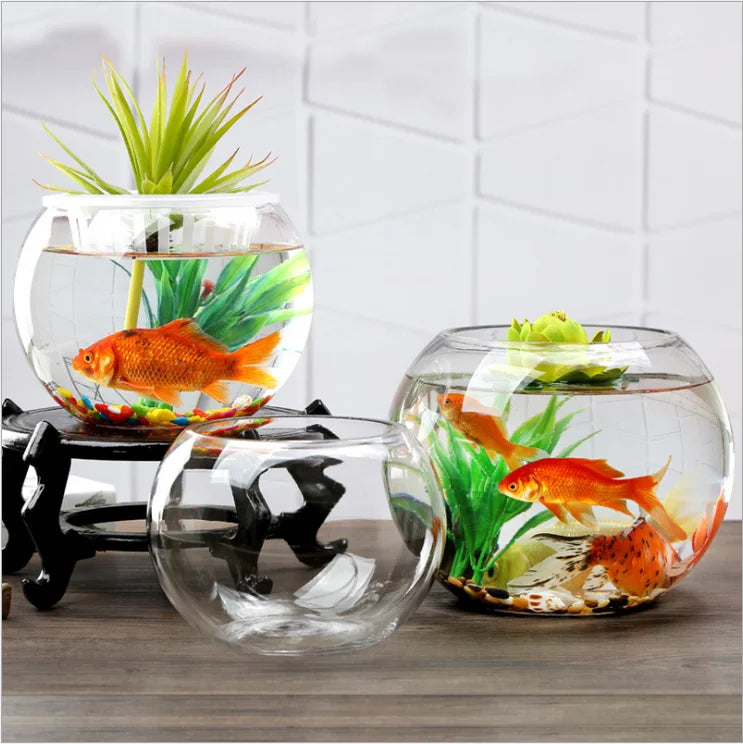 Transparent Large Round Glass Fish Tank Fish Bowl