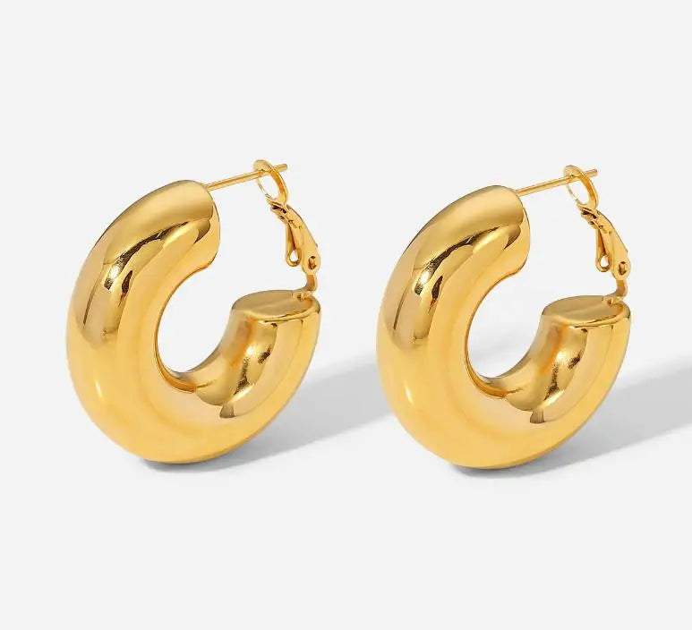 Dainty Cute Hypoallergenic Minimalist Jewelry Gift18k Gold Stainless Steel Hoop Earring Thick Hoop Earrings for Women