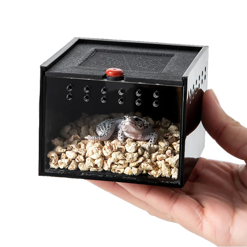 Factory Direct Breathable Acrylic Insect Terrarium for Reptile Breeding Plastic Spider Scorpion Lizard Snake Beetle Button MegaBDM