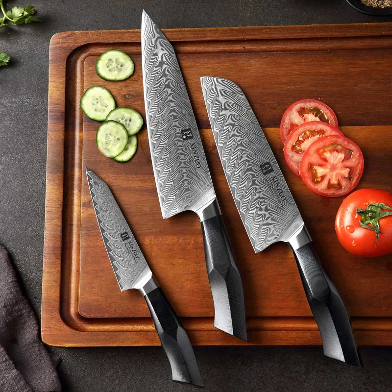 Professional 3 Pcs Japanese 67 Layers Damascus Steel Kitchen Chef Knife Set With Premium G10 Handle
