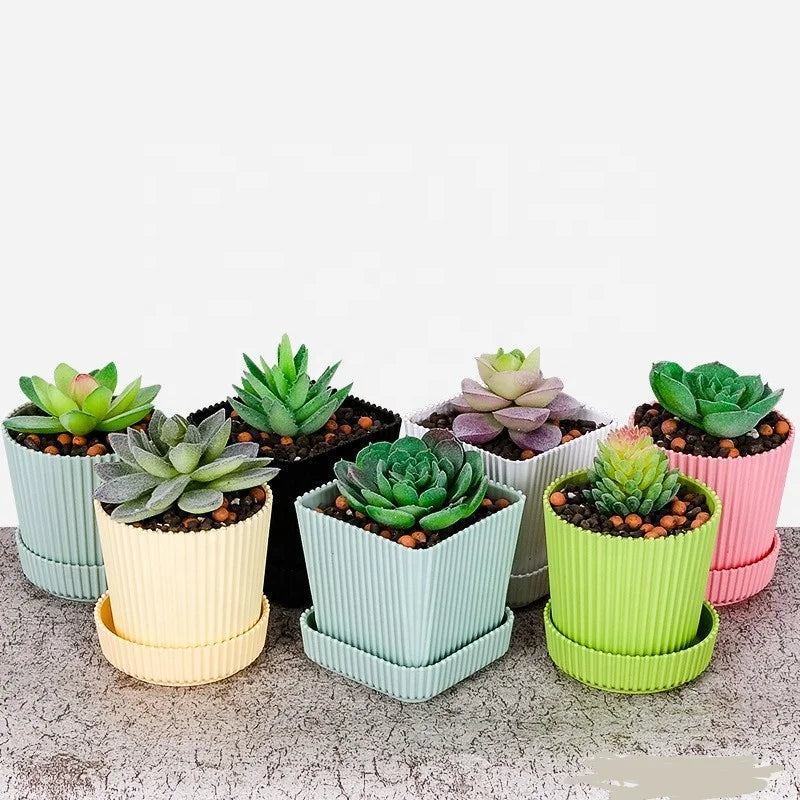 Dia.6.8cm H.7cm Cute Small Round and Square Colorful Plastic Succulent Cactus Bonsai Flower Pot With Saucers