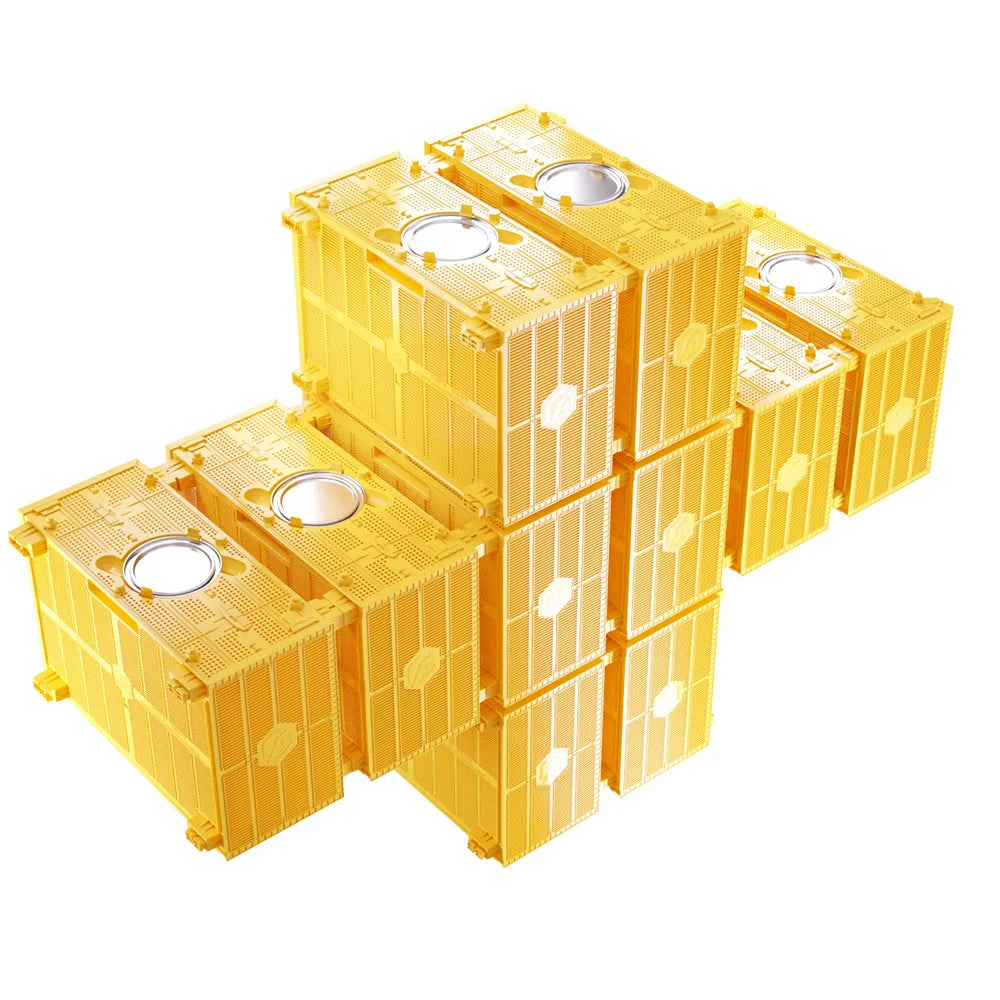 Benefitbee Queen Bee Cage Transport Cage Newest Bee Colony Removing Beekeeping Equipment