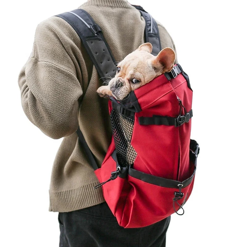 Low MOQ Fashionable Dog Pet Travel Bag Backpack Lightweight Dog Carrier Bag for Hiking Camping Pet Carrier