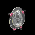 HY Hot Sale 3D Chocolate Dinosaur Egg Ostrich Egg Mold