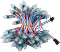 Christmas Outdoor Waterproof Rainbow Color Dc 5v 12v 12mm Ws2811 Ws2812 Rgb Addressable Led Pixel Module Led String Light