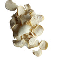 Bai Shou Wu Natural Cynanchum Wilfordii Rhizome Dried New Radix Cynanchi Bungei Root Slices for Sale