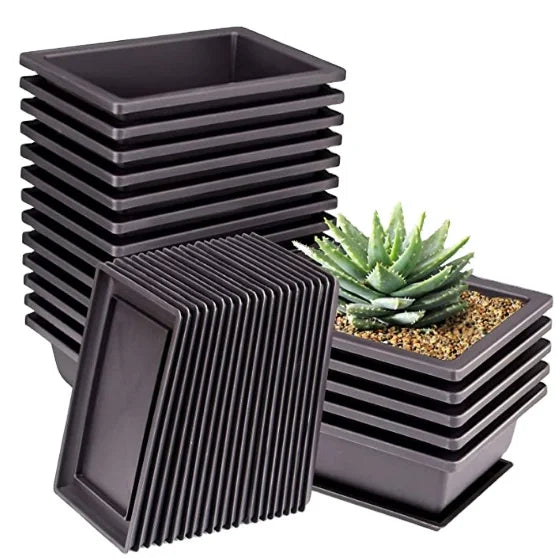 Factory Directly Sale Flower Planter Bonsai Tree Pot