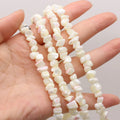 Irregular Shape White Shell Pieces Horseshoe Snails Corn Kernels Loose Beads Irregularly Mother of Pearl Diy Jewelry Accessories