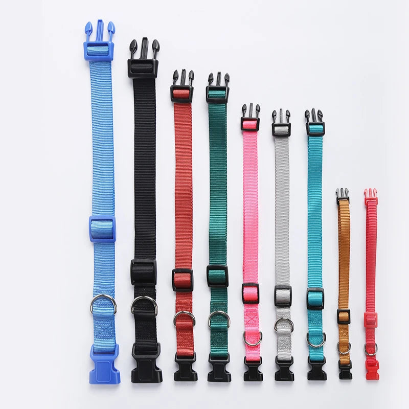 Solid Pattern Polyester Ribbon Collar for Pet Dogs Cats for Greyhound Cuban Hunting Tactical Other Breeds Collares Para Mascotas