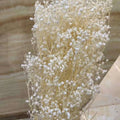 D004 Mothers Day Flower Bouquets Mini Preserved Babysbreath Gypsophila Dried Gypsophila Flower Babys Breath Bouquets for Decor