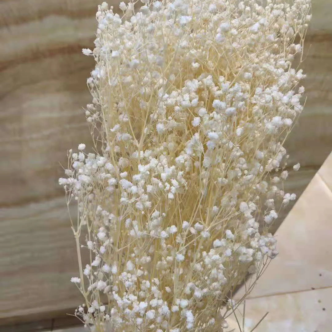 D004 Mothers Day Flower Bouquets Mini Preserved Babysbreath Gypsophila Dried Gypsophila Flower Babys Breath Bouquets for Decor