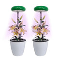 Angel Ring Plant Light Height Adjustable Plant Fill Light Small Full Spectrum Foldable Horticulture LED Plant Seed Grow Light