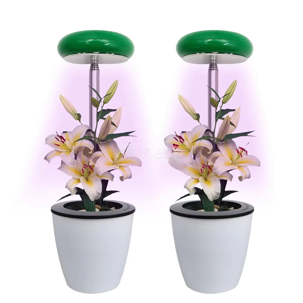Angel Ring Plant Light Height Adjustable Plant Fill Light Small Full Spectrum Foldable Horticulture LED Plant Seed Grow Light
