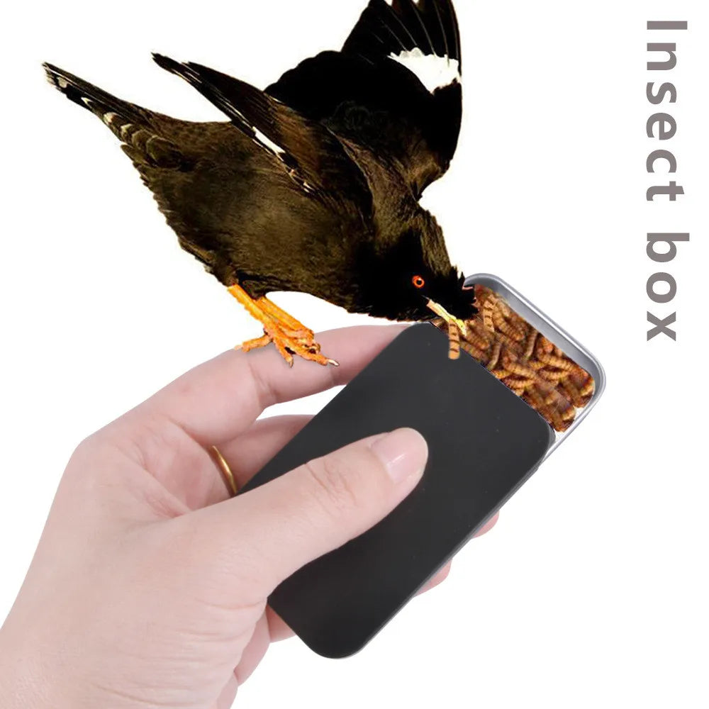 Wholesale Training Bird Food Hamper Box
