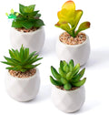 Mini Artificial Succulent Plants in Pots Artificial Succulent Set With White Ceramic Planter Pots