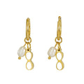 Stylish Light Luxury Earrings Fashion Jewelry Stainless Steel Earrings for Women