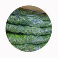 XMSD IQF Best Frozen Fresh Blanching Asparagus Raw for Freezing Green Vegetable Bulk Factory Wholesale Price