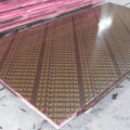 12mm 18mm Black film Faced plywood /shuttering plywood for Construction
