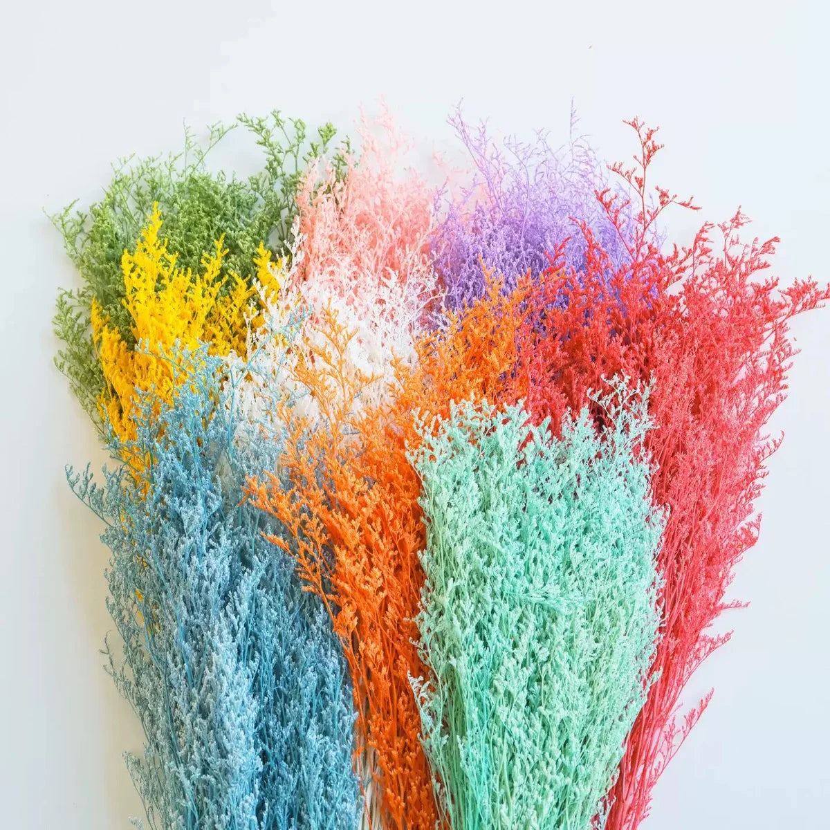 Best Selling Dried Flowers Lover Grass Limonium Floral Decors for Floral Arrangement Decorative Flowers Wreaths and Plants