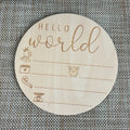 Engraved Wooden Newborn Birth Statistics Tags Hello World Wooden Sign Photo Props Nursery Wall Decor 1 Piece