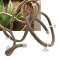 Climbing Pets Simulation Tree Branch