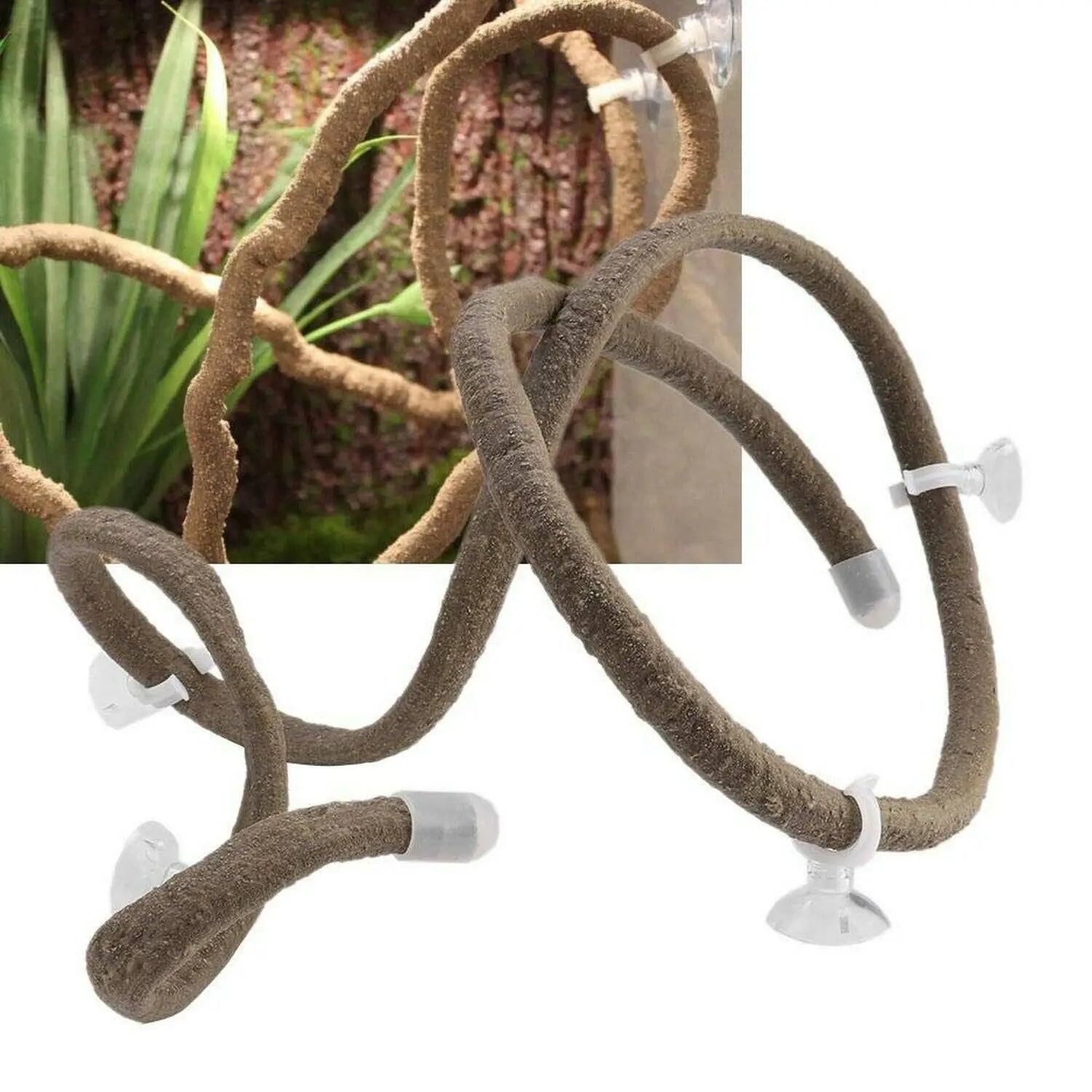 Climbing Pets Simulation Tree Branch