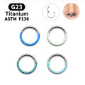 Wholesale G23 Titanium Hinged Segment Ring with Prong Set Piercing Jewelry