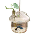 Light Weight Mushroom Shape Mini Fish Flower Plant Bottle Decoration Glass Container Terrarium With Rope