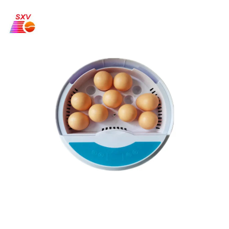 Home  Chicken Incubation Equipment 9 Eggs Incubator Small Bird Egg Incubator