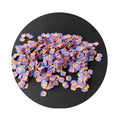 500g New Design Polymer Clay Fruits Fish Butterfly Dumplings Donuts Slices for Crafts Making DIY Slime Filling Nail Art Decor