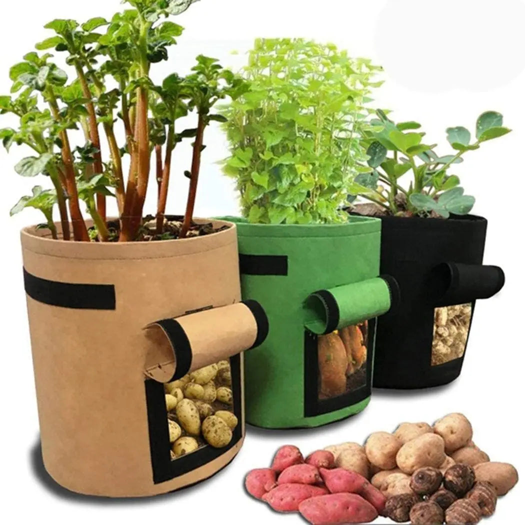 Wholesale Planter Potato Growing Black Tree Pot Planting Garden Felt Grow Bags with Flap and Handles