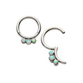 G23 Titanium Simple Hinged Hoop Segment Ear Ring with 3 Opal Studs Piercing Jewelry Rings