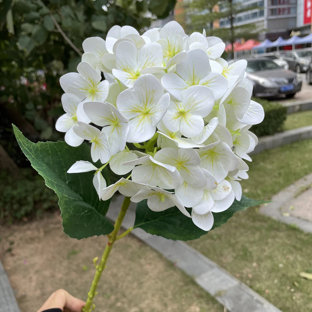 C-H019 Wholesale High Quality Artificial Real Touch White Hydrangea Flowers for Wedding Home Kitchen Decoration